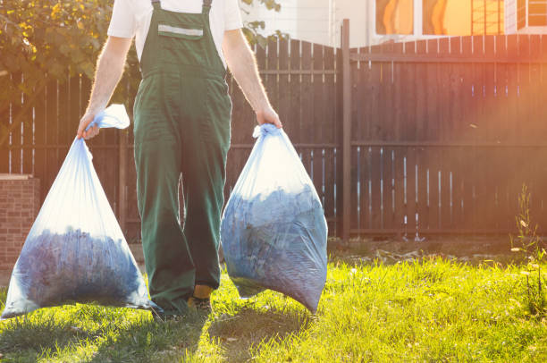 Best Basement Cleanout Services  in Pittston, PA